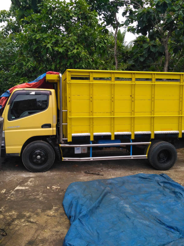Beli mobil bekas