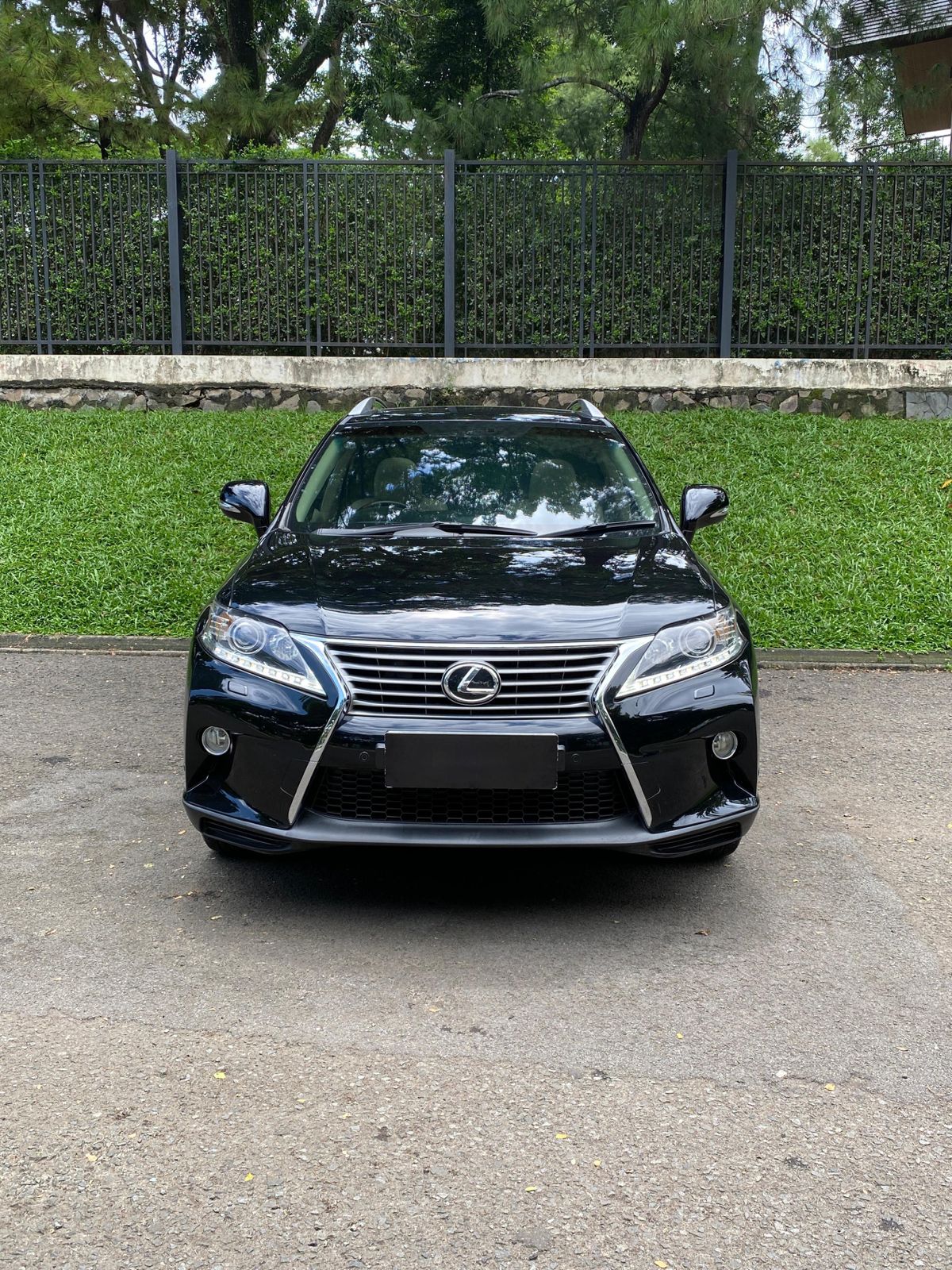 2013 Lexus RX 350 F Sport 2013 Lexus RX 350 F Sport