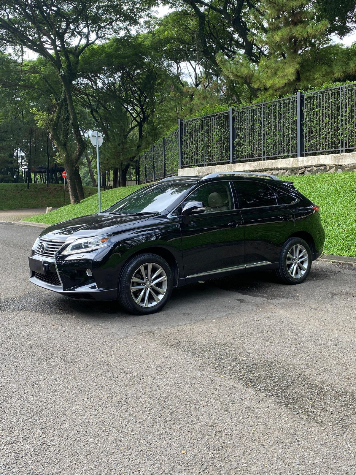 2013 Lexus RX 350 F Sport 2013 Lexus RX 350 F Sport