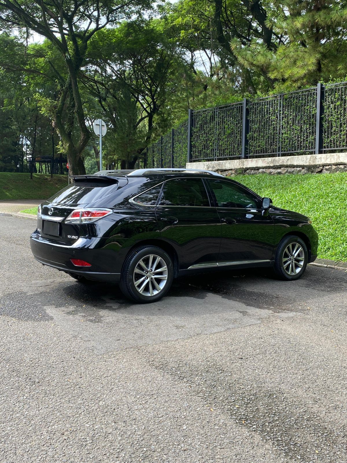 2013 Lexus RX 350 F Sport 2013 Lexus RX 350 F Sport