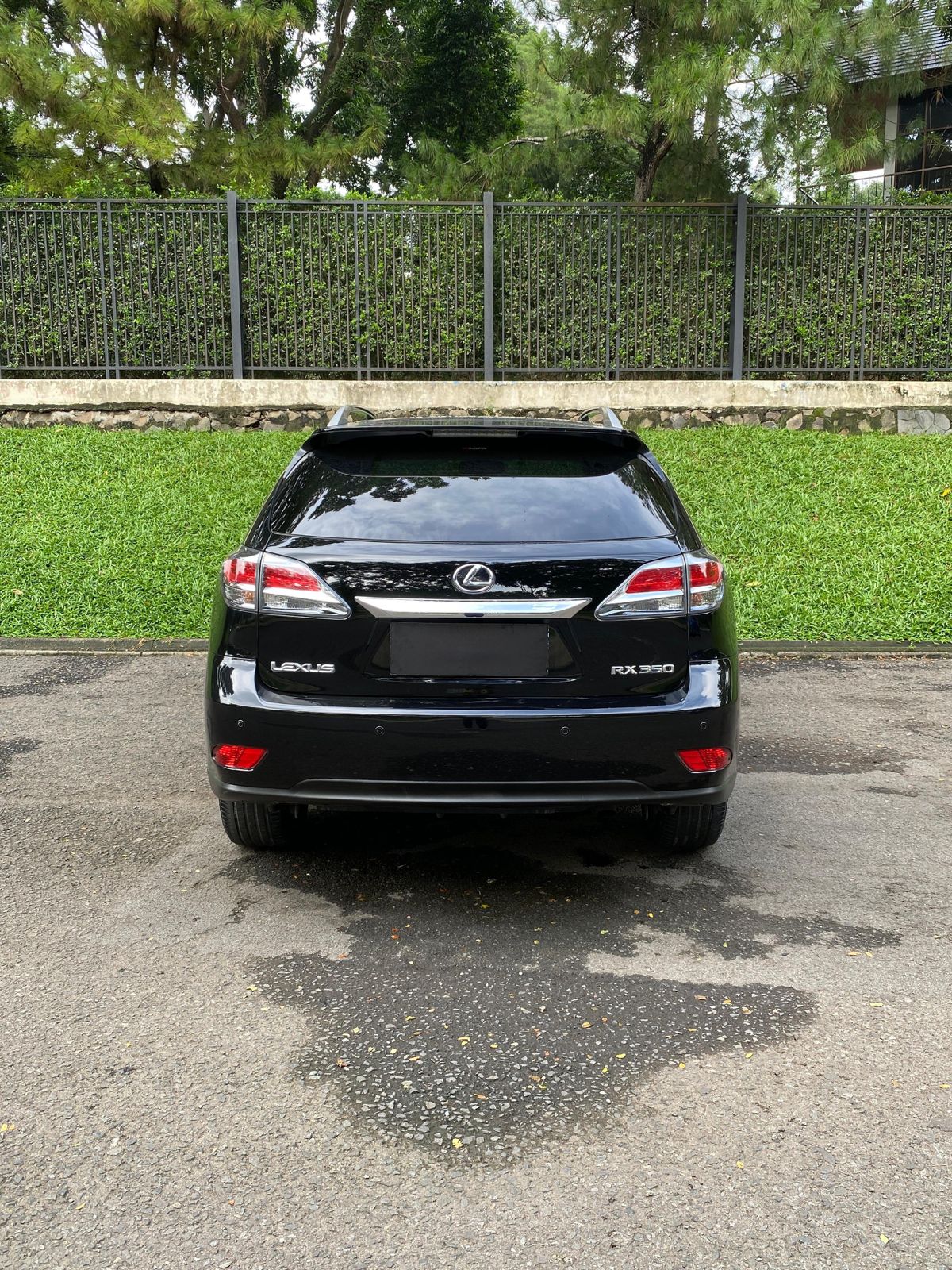 2013 Lexus RX 350 F Sport 2013 Lexus RX 350 F Sport