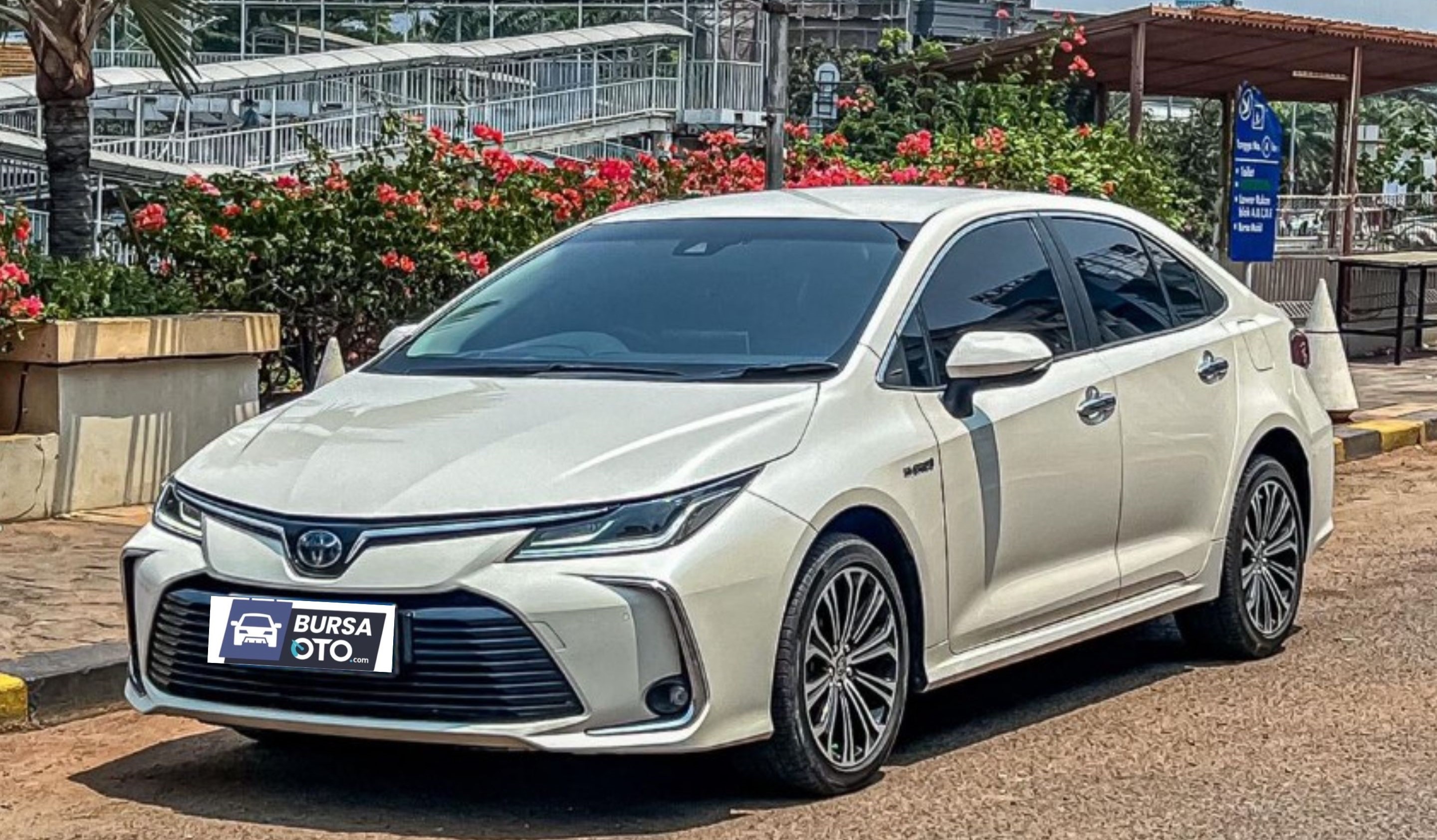 2019 Toyota Corolla Altis 2019 Toyota Corolla Altis