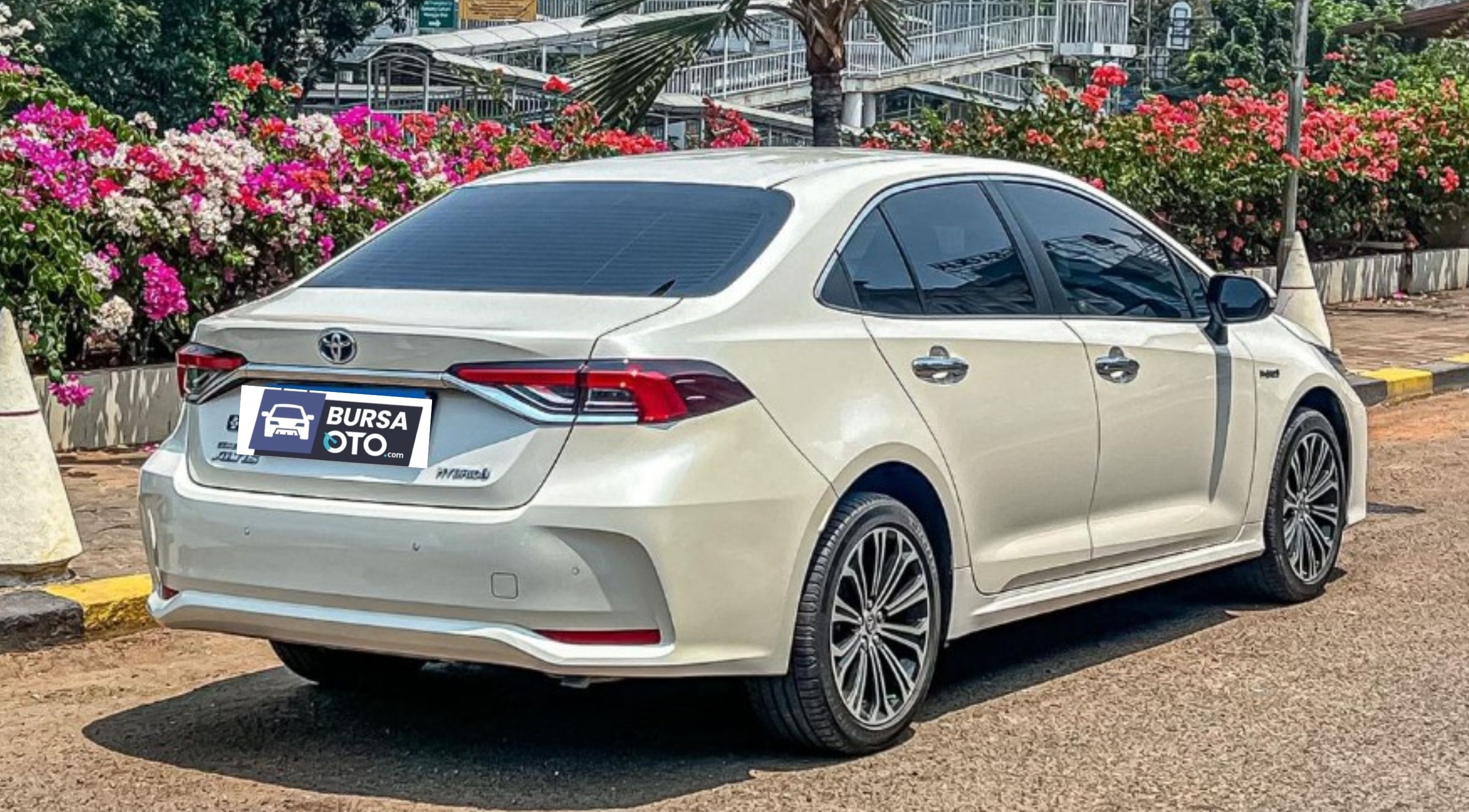 2019 Toyota Corolla Altis 2019 Toyota Corolla Altis