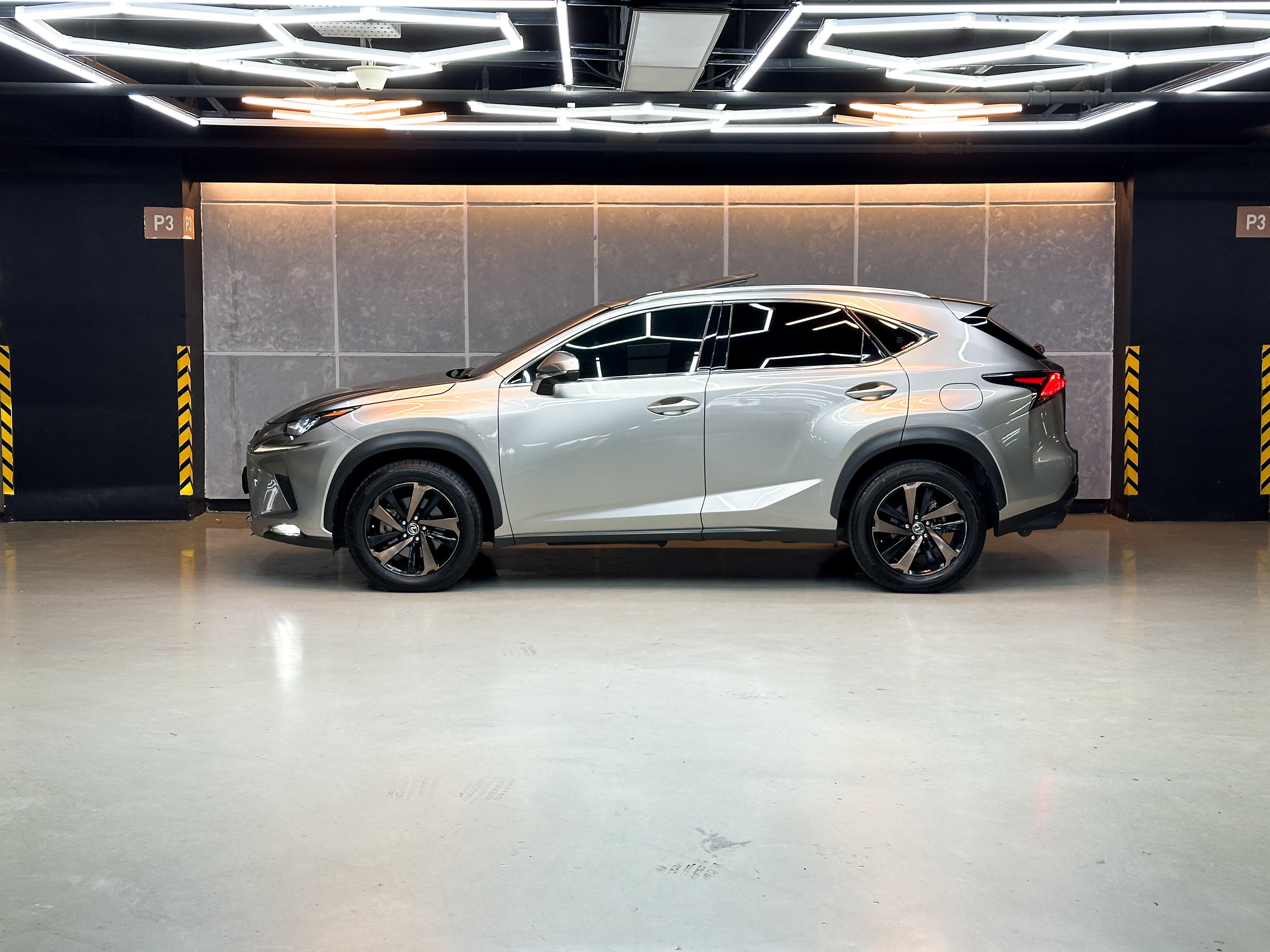 2018 Lexus NX 2018 Lexus NX