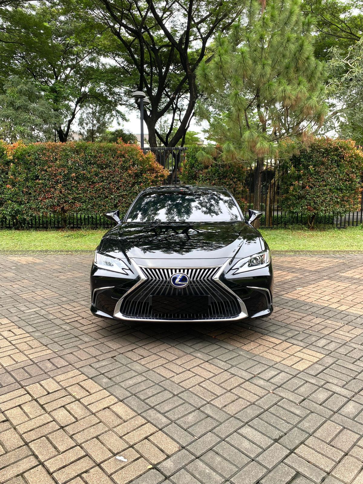 2021 Lexus ES  300h Ultra Luxury