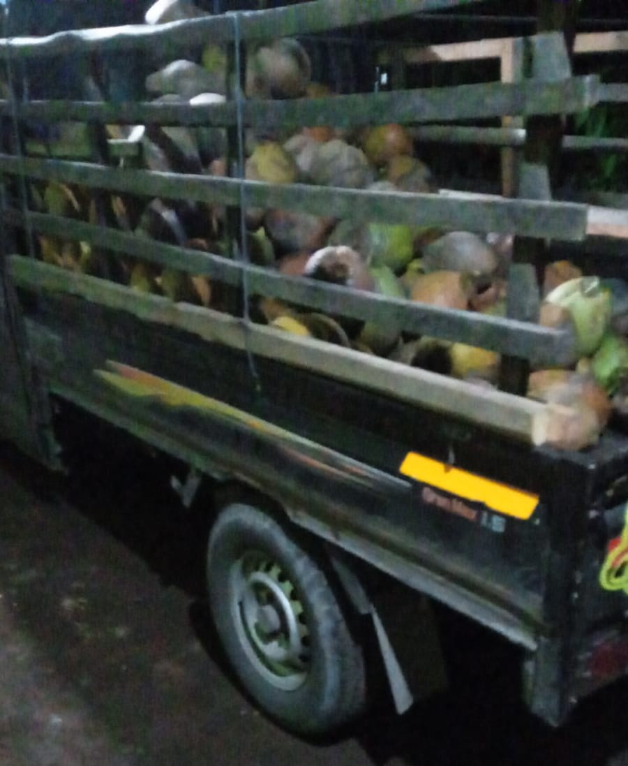 2015 Daihatsu Grand Max 1.5 PS AC PU 2015 Daihatsu Grand Max 1.5 PS AC PU