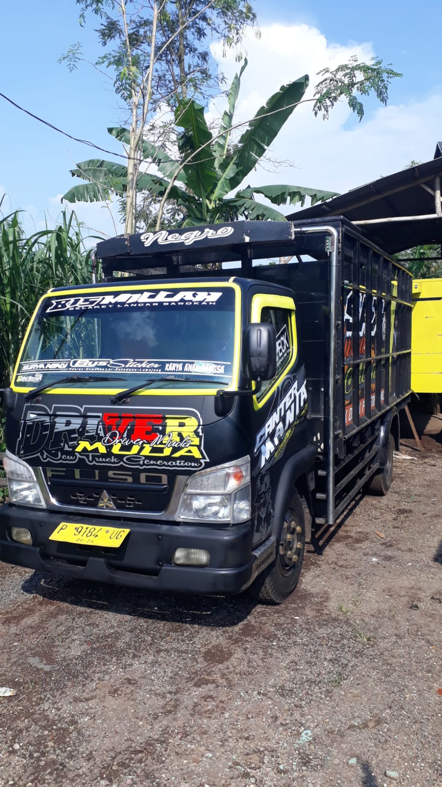 2010 Mitsubishi L300 Pickup Standard 2010 Mitsubishi L300 Pickup Standard