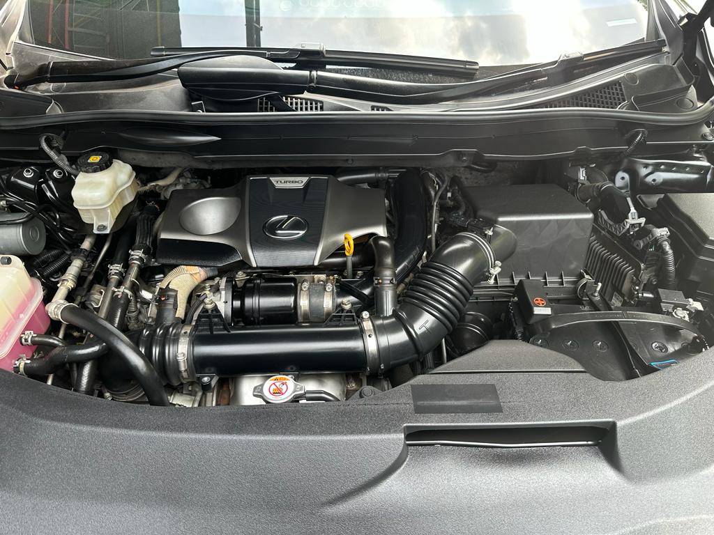 2020 Lexus RX 2020 Lexus RX