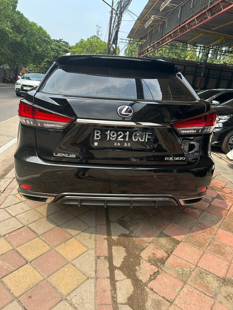 2020 Lexus RX 2020 Lexus RX