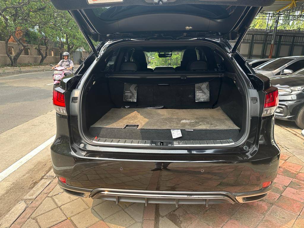 2020 Lexus RX 2020 Lexus RX