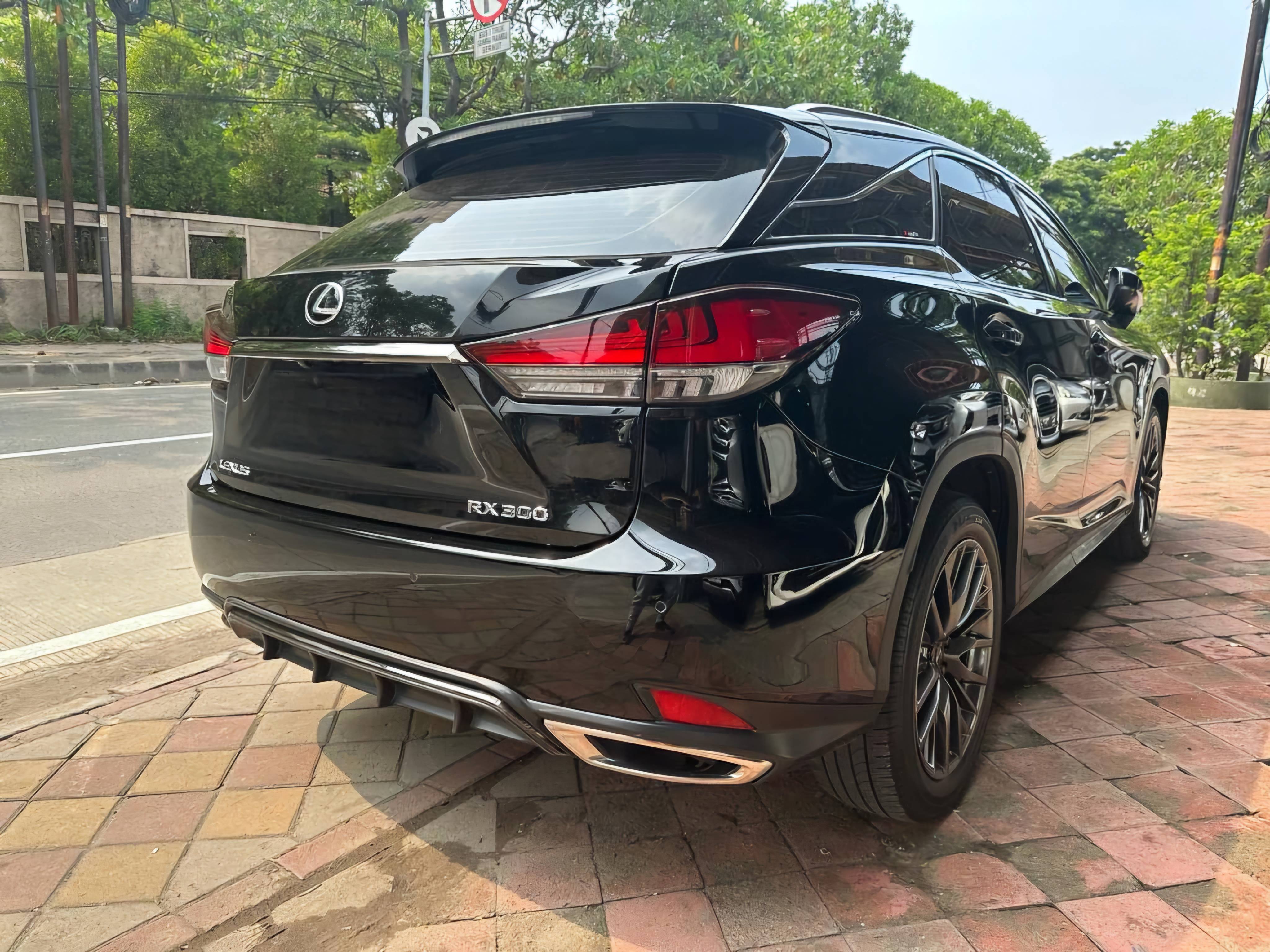 2020 Lexus RX 2020 Lexus RX