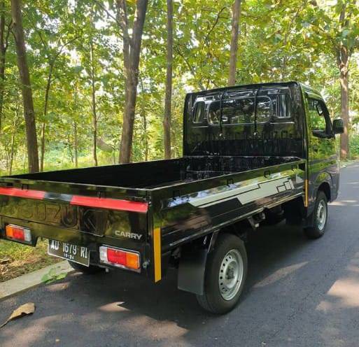 2019 Suzuki Carry 2019 Suzuki Carry