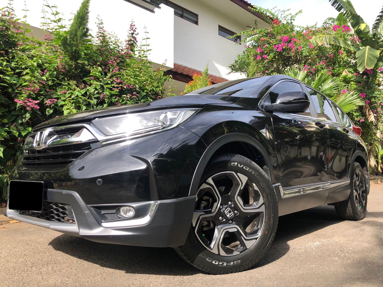 2019 Honda CR-V 2019 Honda CR-V