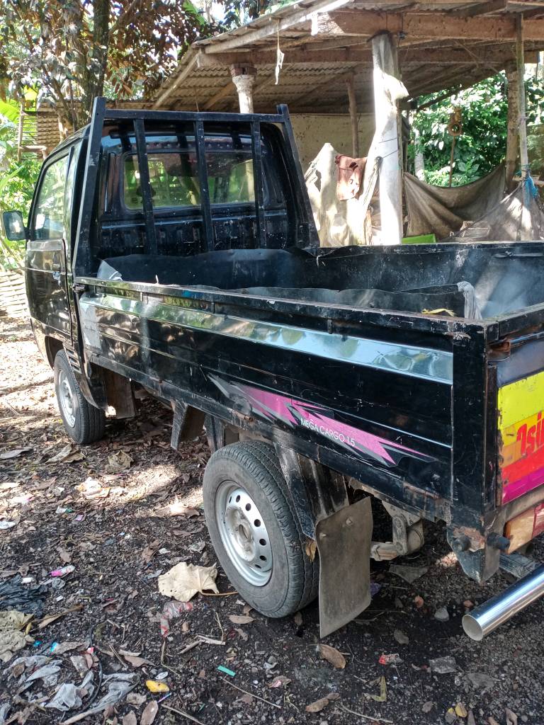 2010 Suzuki Carry 2010 Suzuki Carry