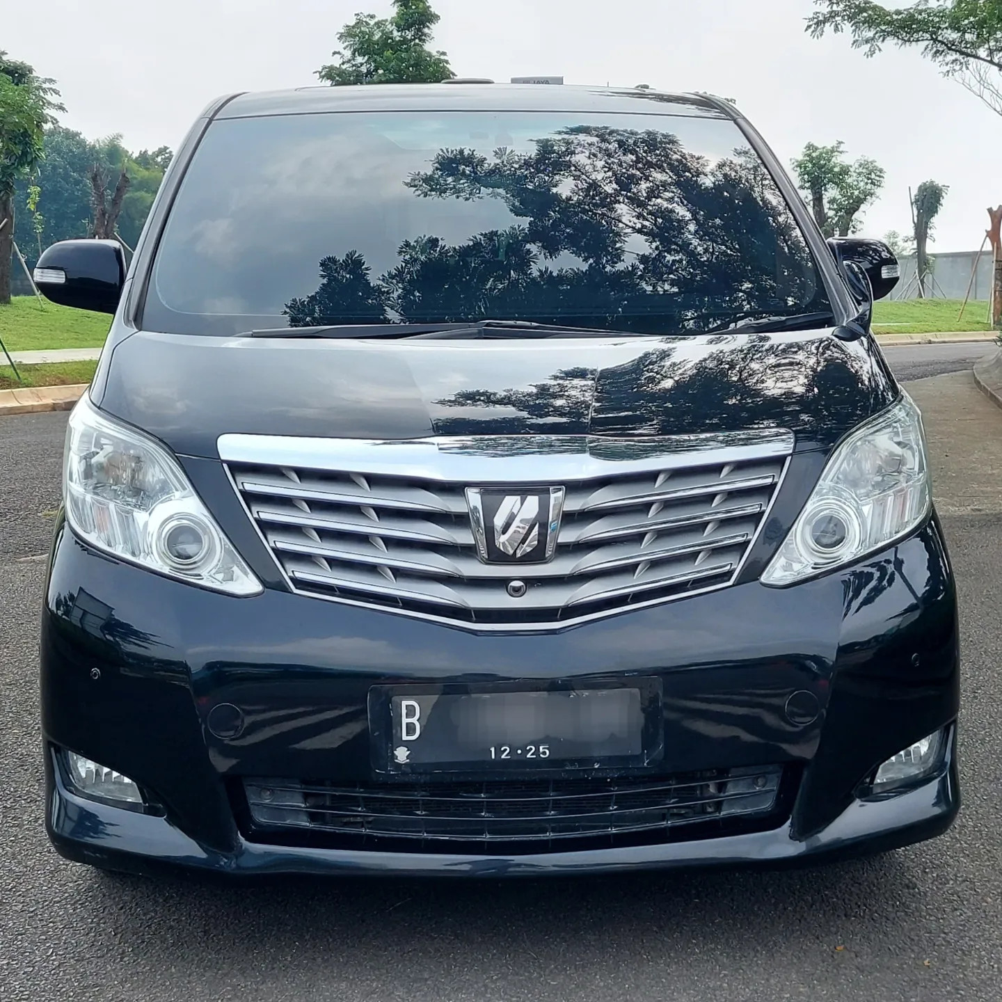 2010 Toyota Alphard 2010 Toyota Alphard