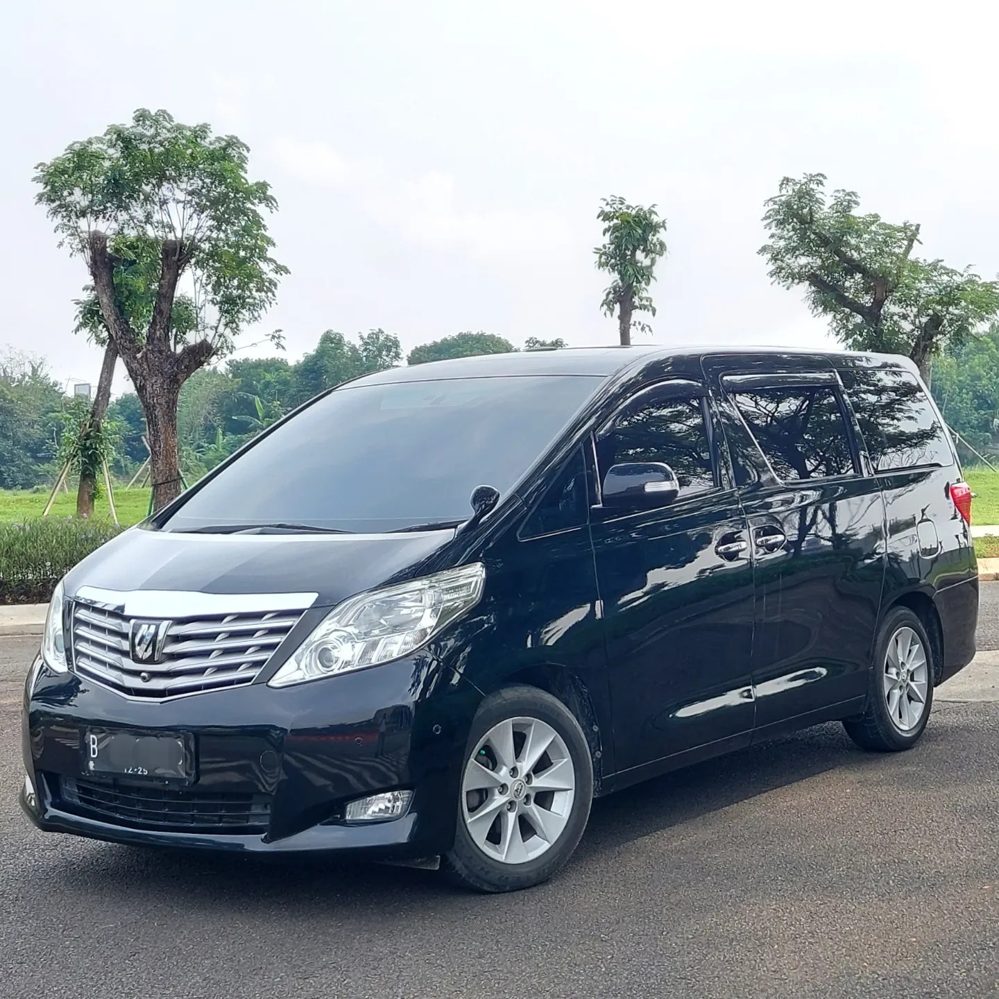 2010 Toyota Alphard 2010 Toyota Alphard