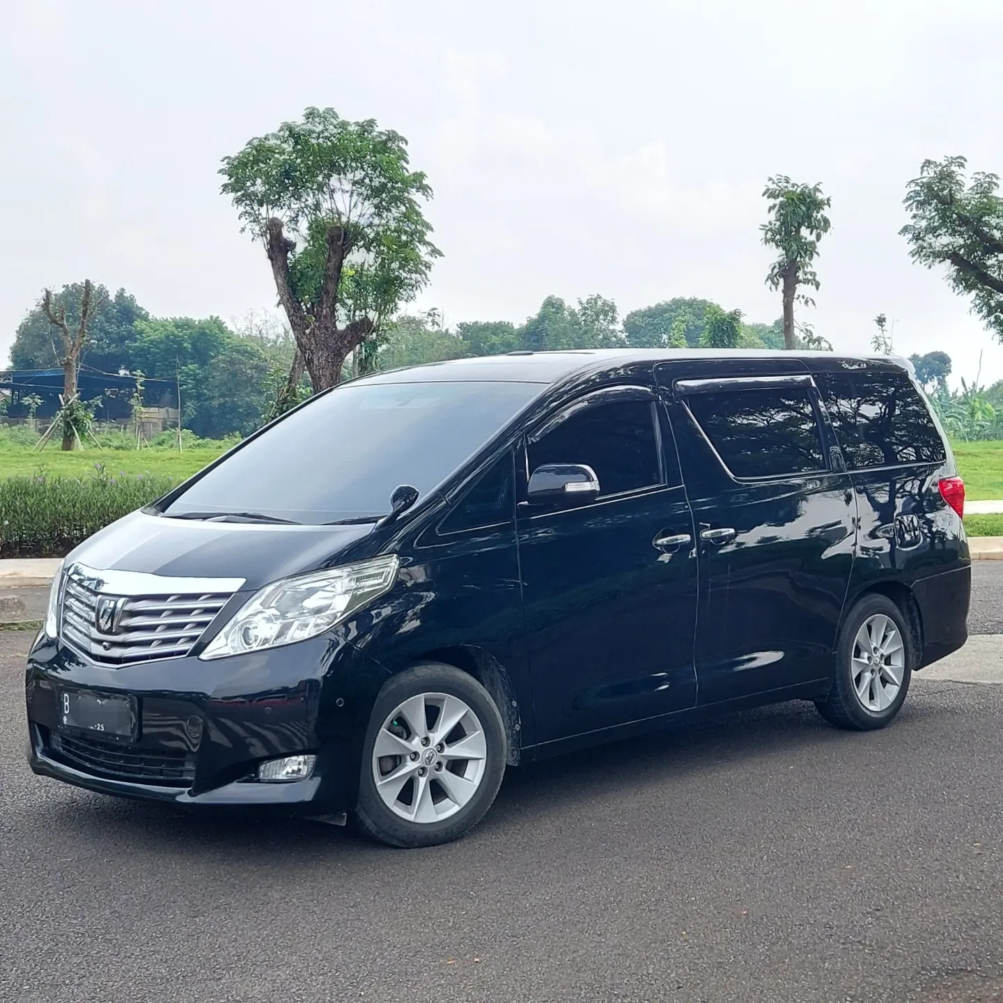 2010 Toyota Alphard 2010 Toyota Alphard