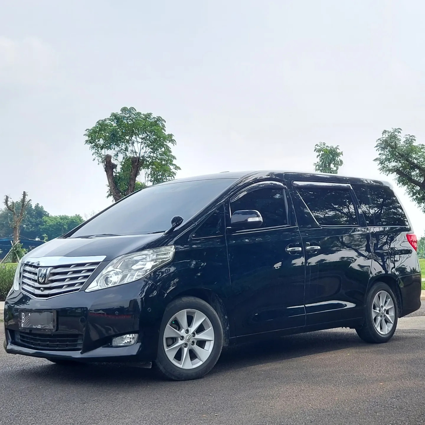 2010 Toyota Alphard 2010 Toyota Alphard