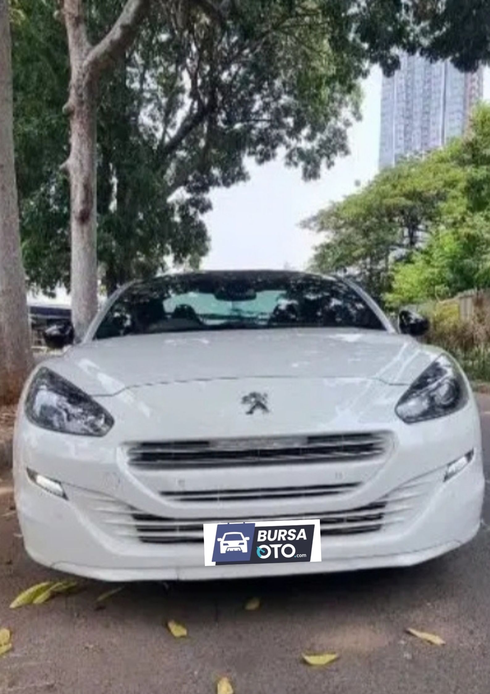 Second Hand 2013 Peugeot RCZ Second Hand 2013 Peugeot RCZ