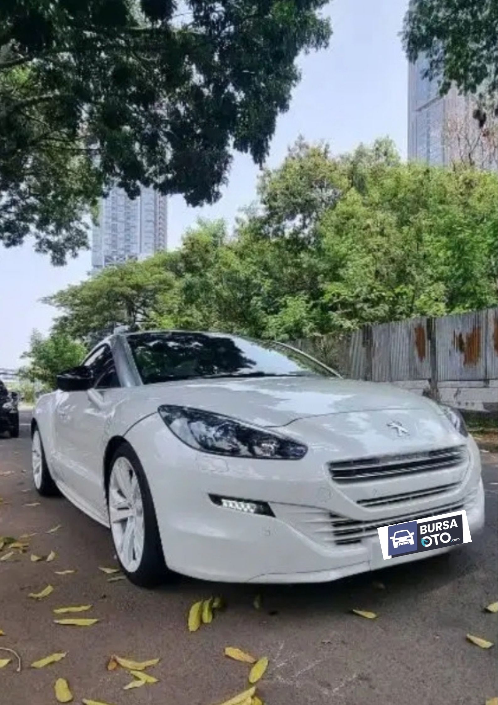 2013 Peugeot RCZ 2013 Peugeot RCZ