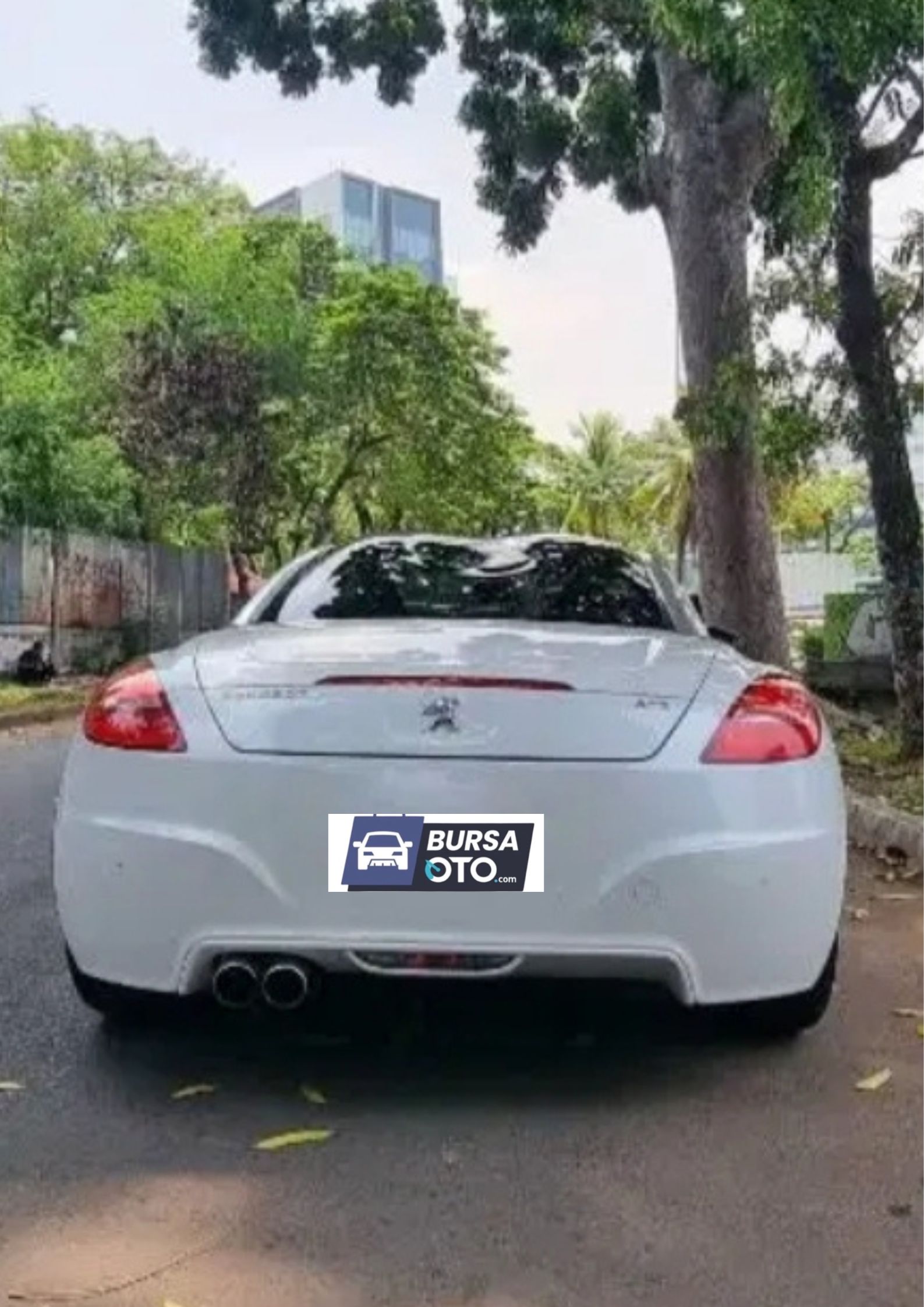 2013 Peugeot RCZ 2013 Peugeot RCZ