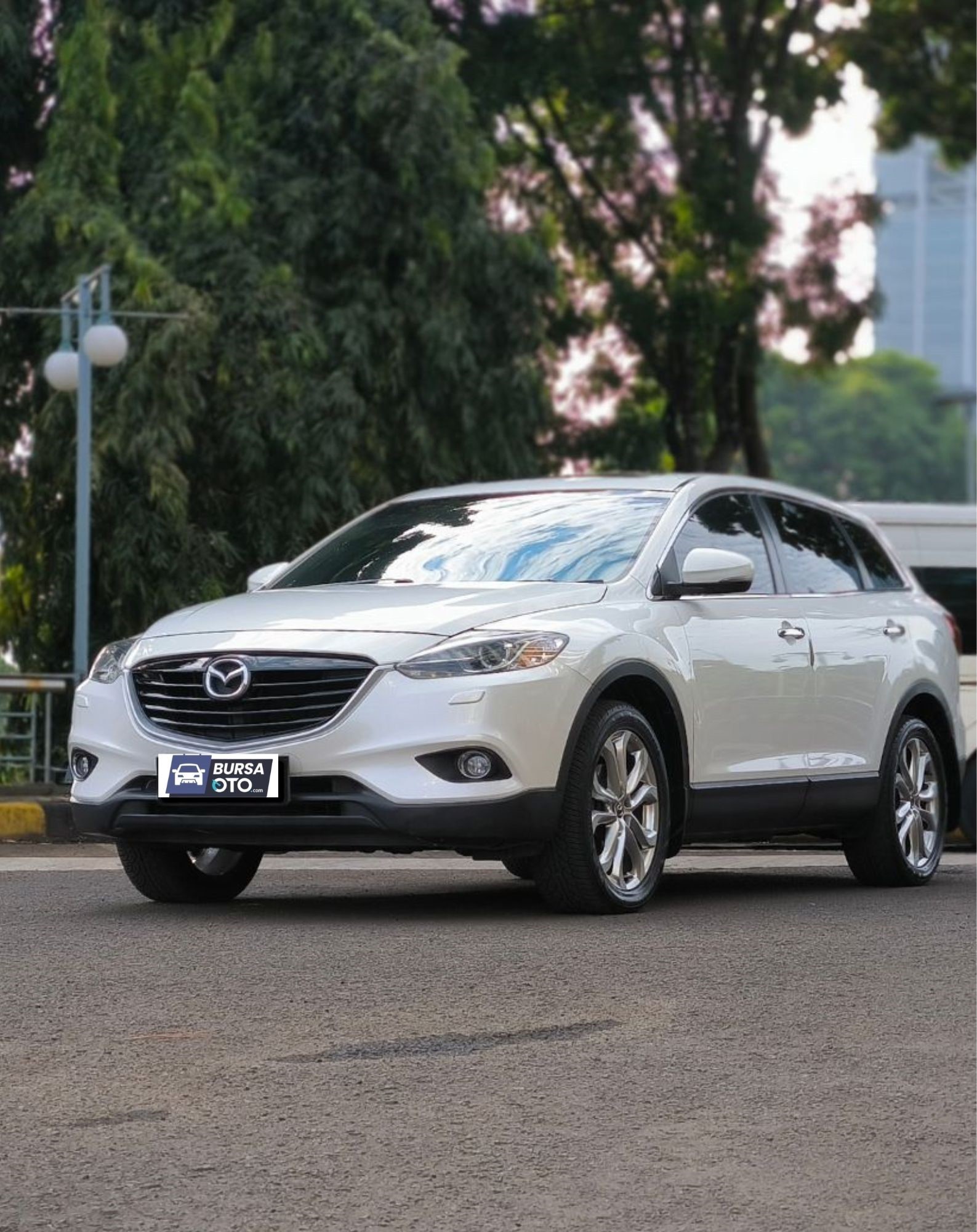 2012 Mazda CX 9 2012 Mazda CX 9