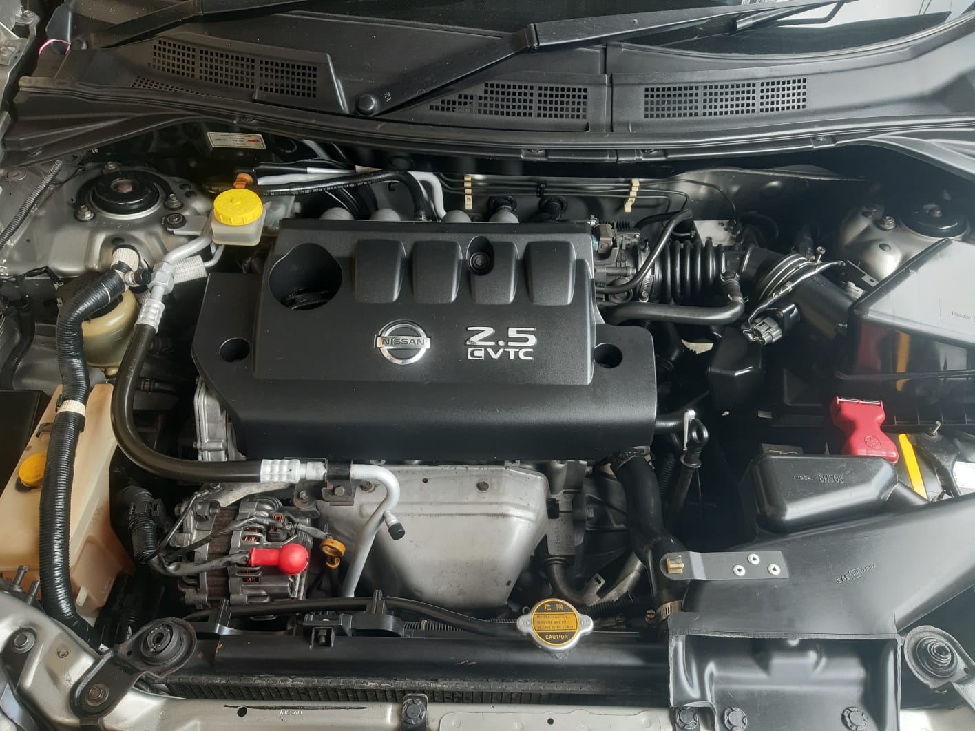 2005 Nissan X-Trail 2005 Nissan X-Trail