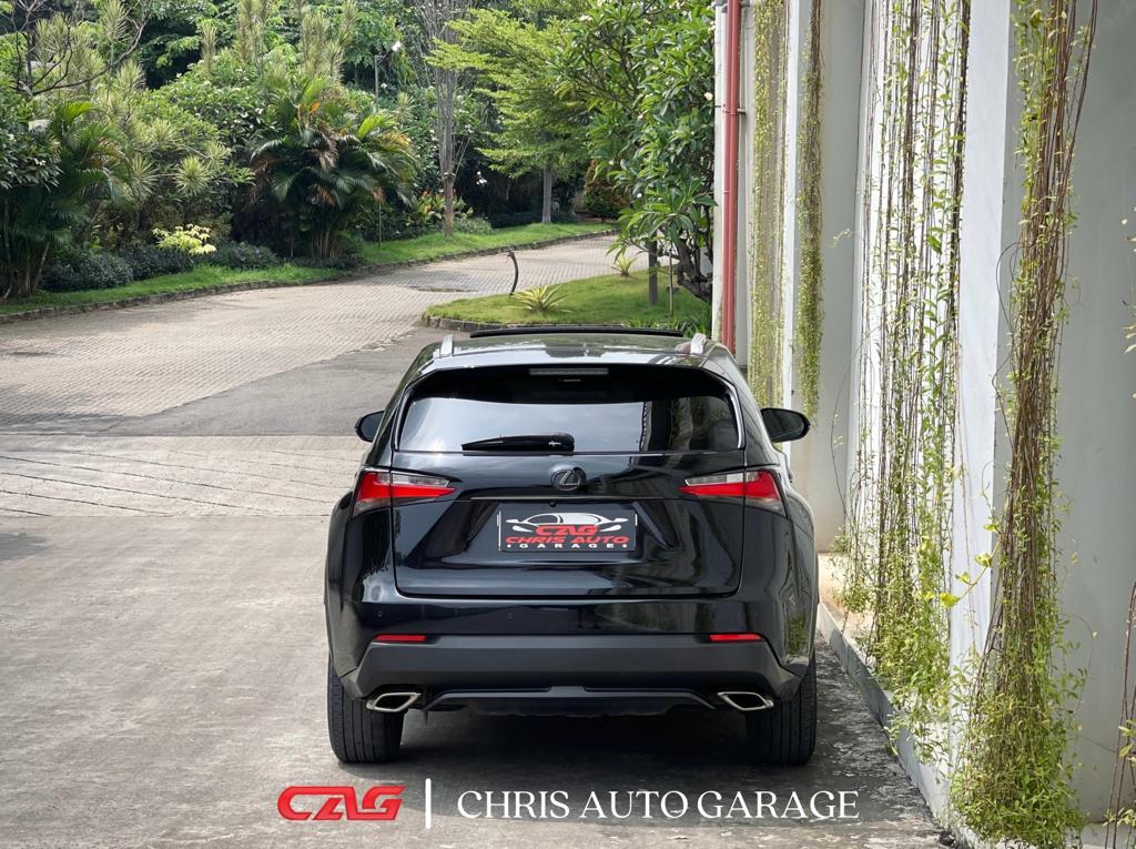 2016 Lexus NX 2016 Lexus NX