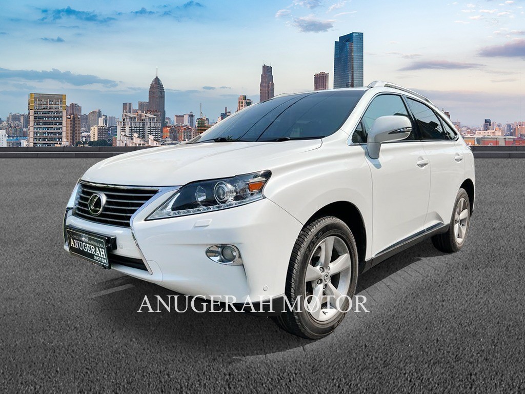 2013 Lexus RX 270 2013 Lexus RX 270