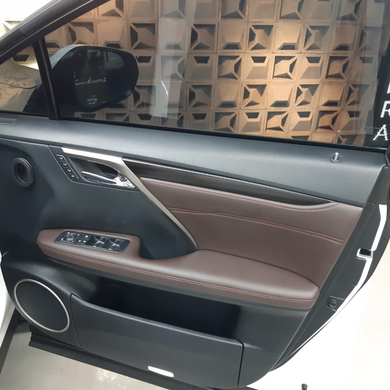 2016 Lexus RX 2016 Lexus RX