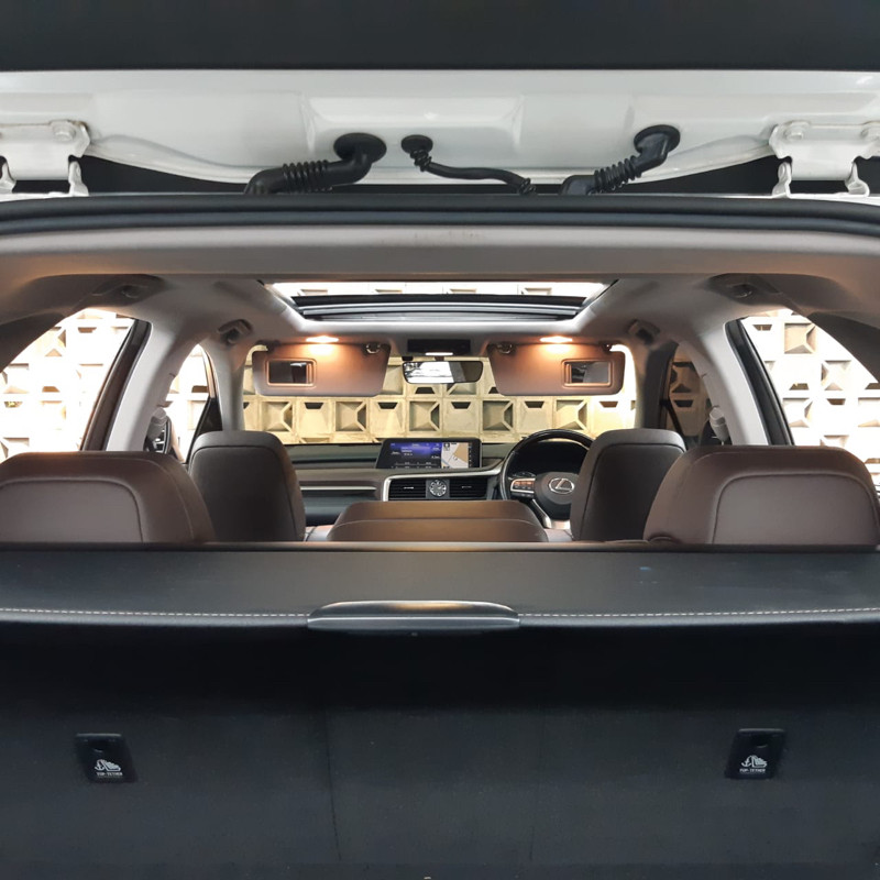 2016 Lexus RX 2016 Lexus RX