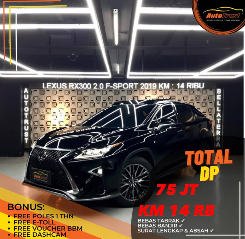 2019 Lexus RX 300 F Sport Bekas