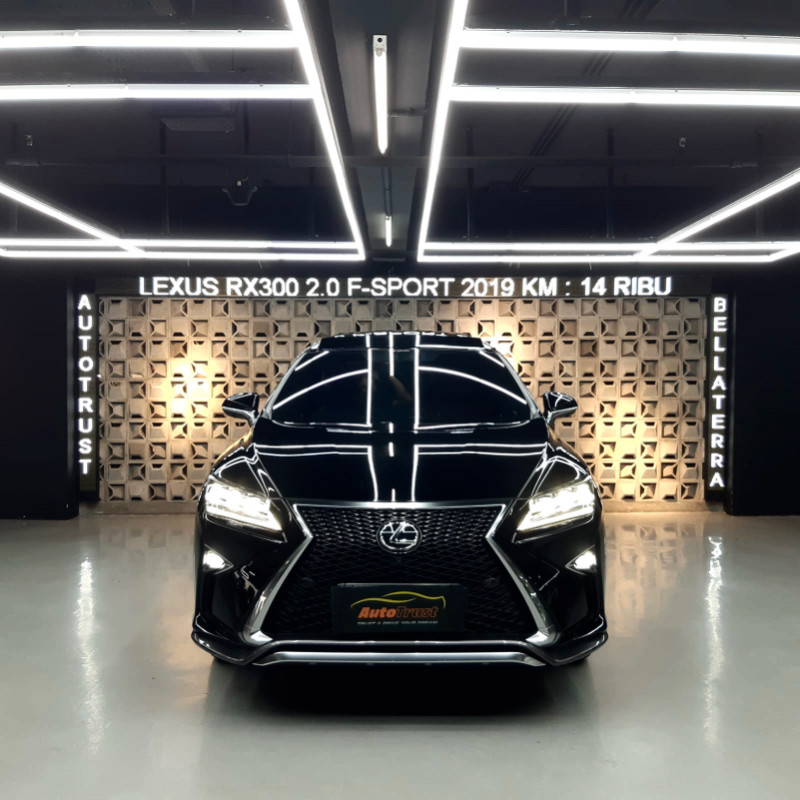 2019 Lexus RX 2019 Lexus RX