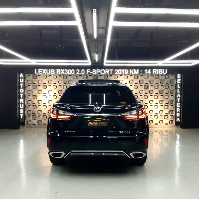 2019 Lexus RX 2019 Lexus RX