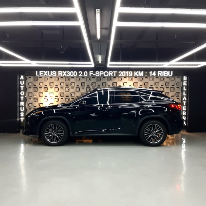 2019 Lexus RX 2019 Lexus RX