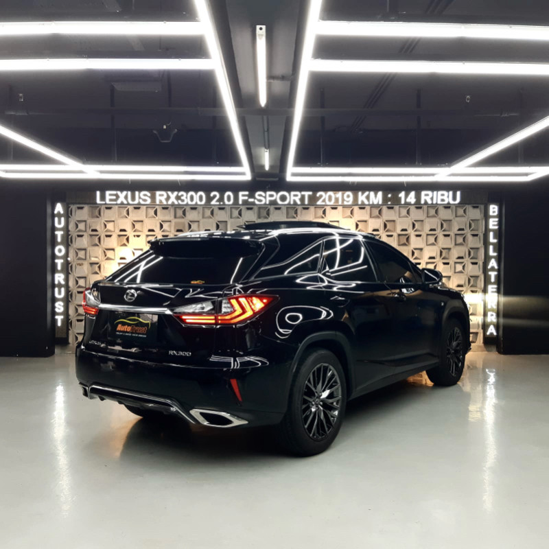 2019 Lexus RX 2019 Lexus RX