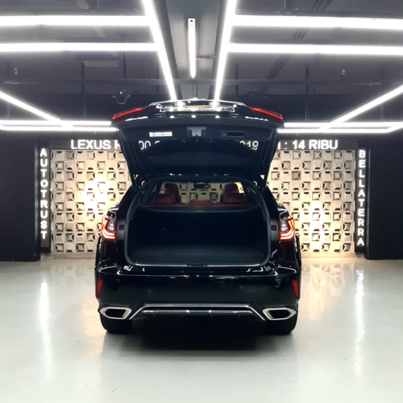 2019 Lexus RX 2019 Lexus RX