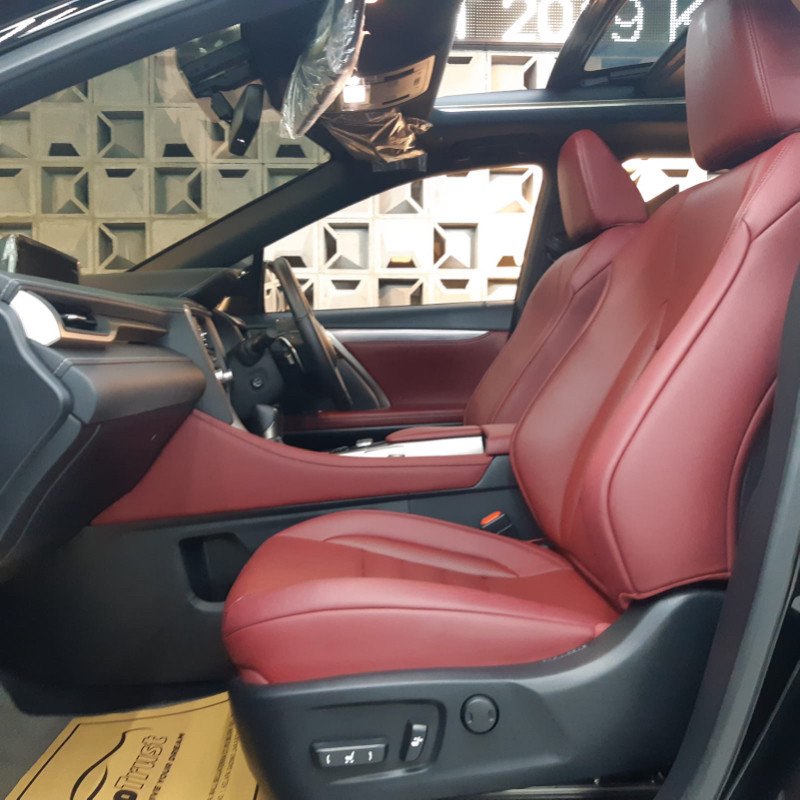 2019 Lexus RX 2019 Lexus RX