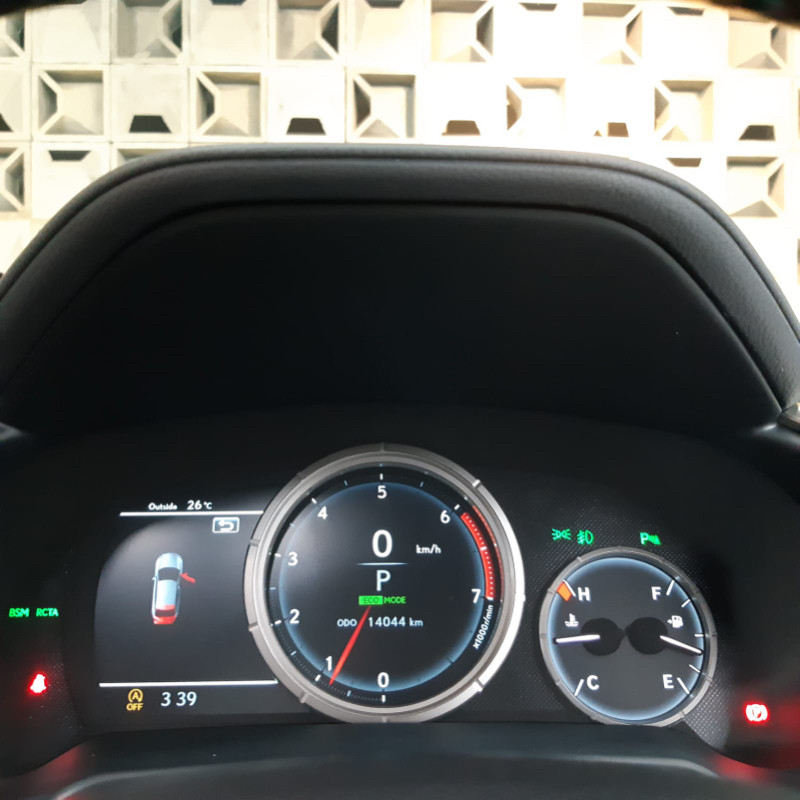 2019 Lexus RX 2019 Lexus RX