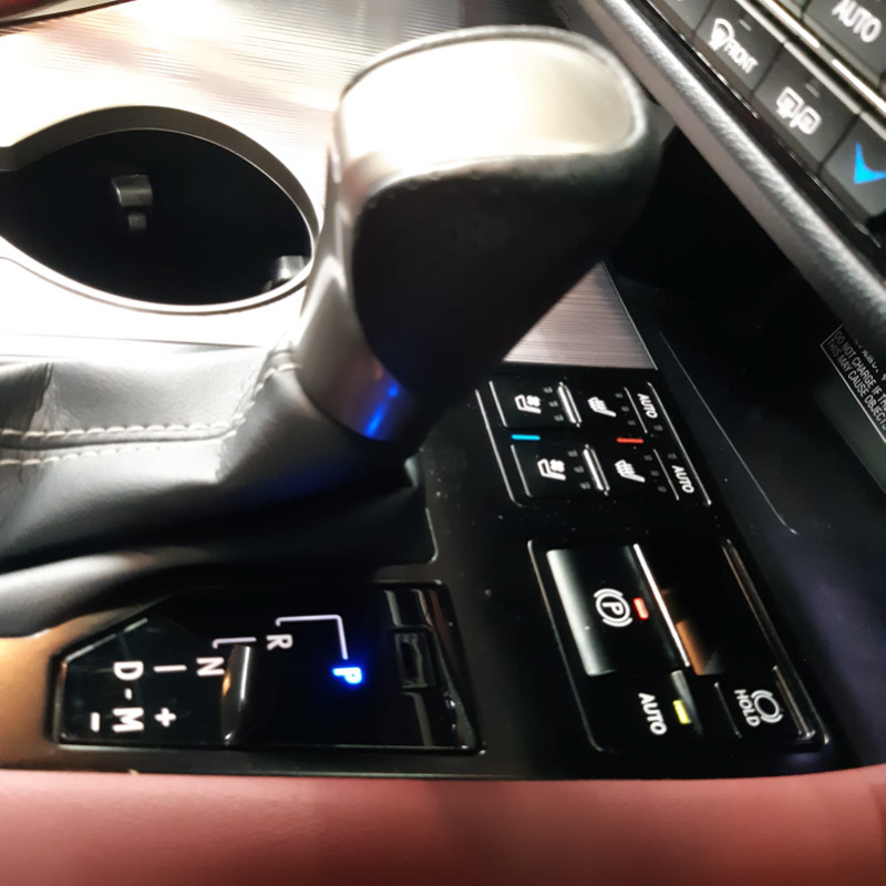 2019 Lexus RX 2019 Lexus RX