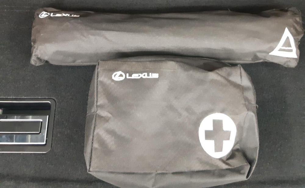 2019 Lexus RX 2019 Lexus RX