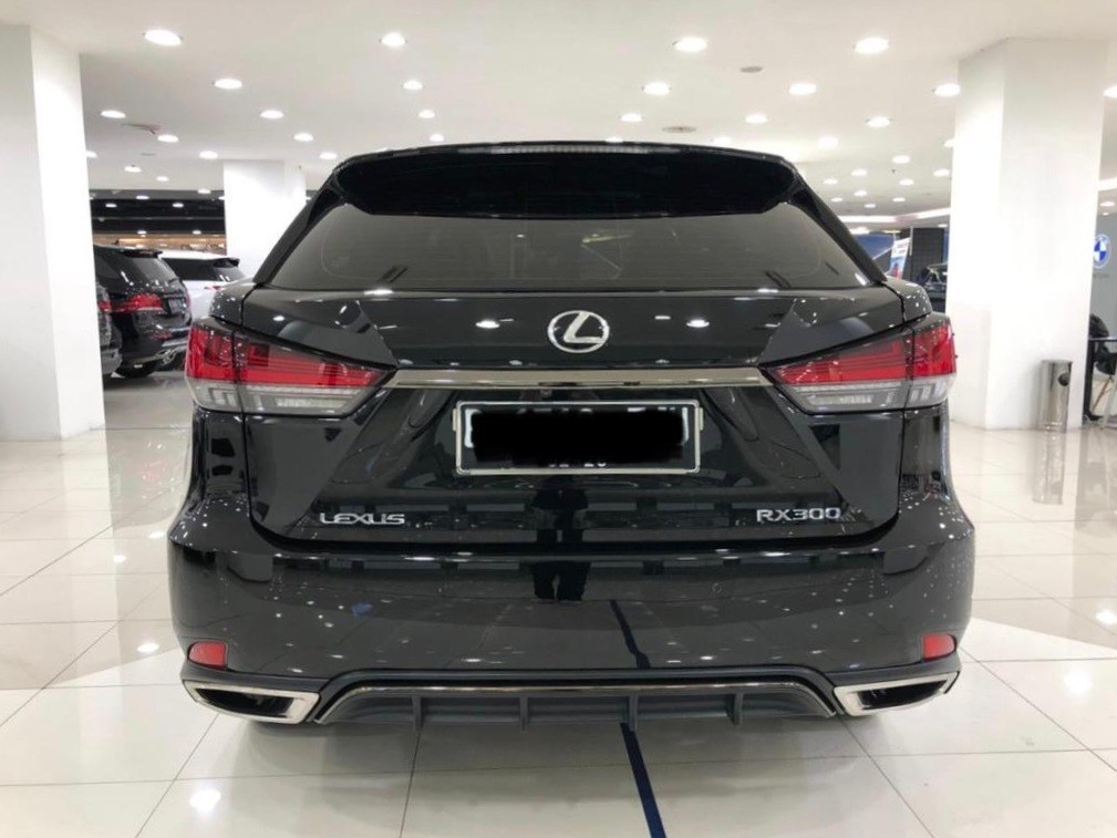 2020 Lexus RX 2020 Lexus RX