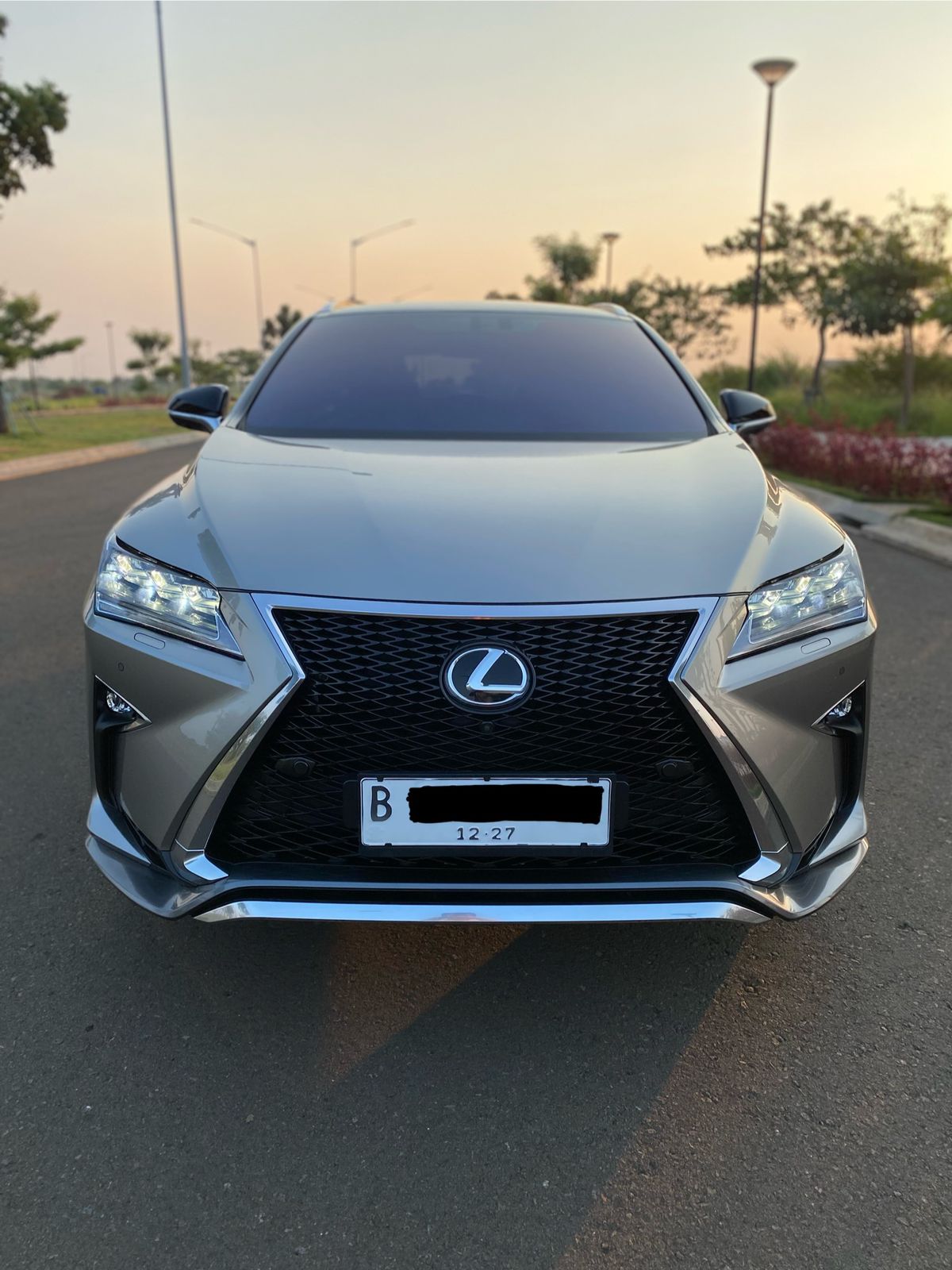 2019 Lexus RX 300 F Sport 2019 Lexus RX 300 F Sport