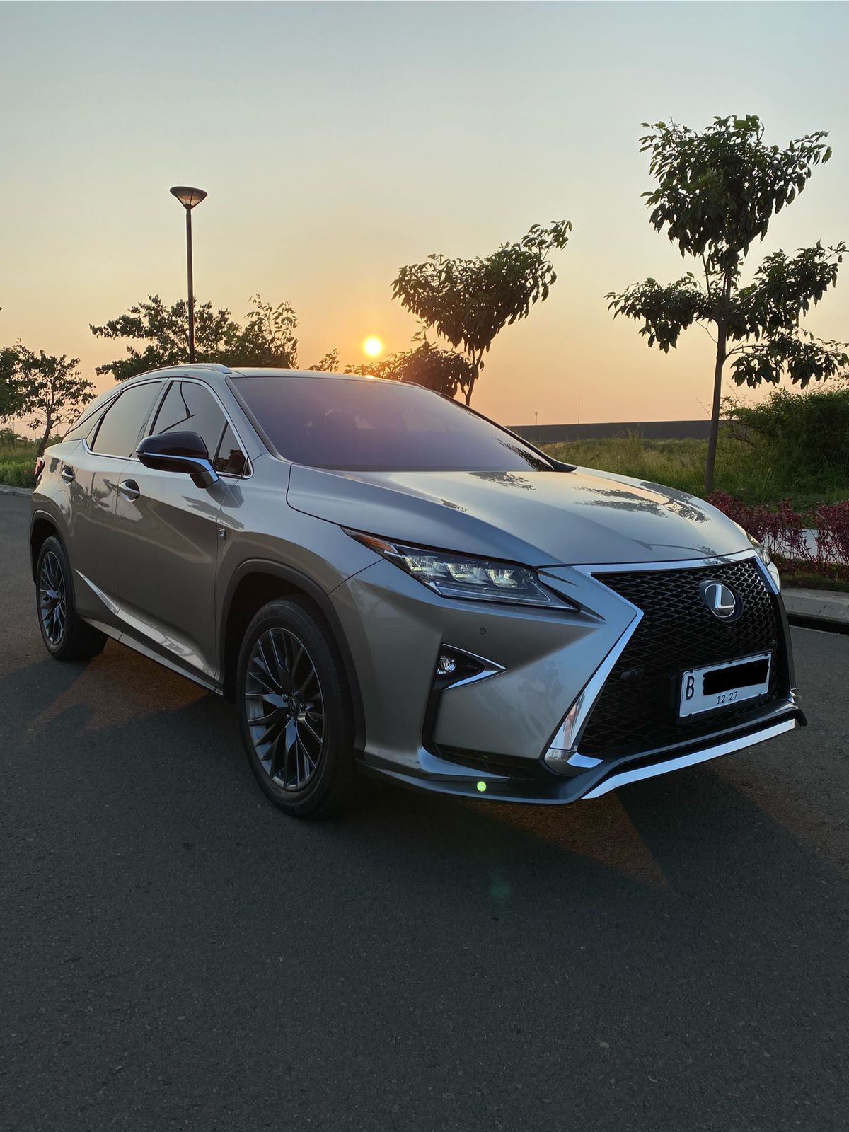 2019 Lexus RX 300 F Sport 2019 Lexus RX 300 F Sport