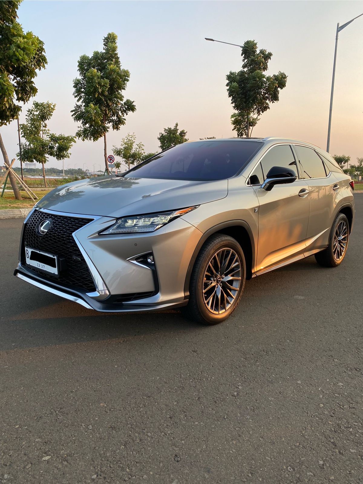 2019 Lexus RX 300 F Sport 2019 Lexus RX 300 F Sport