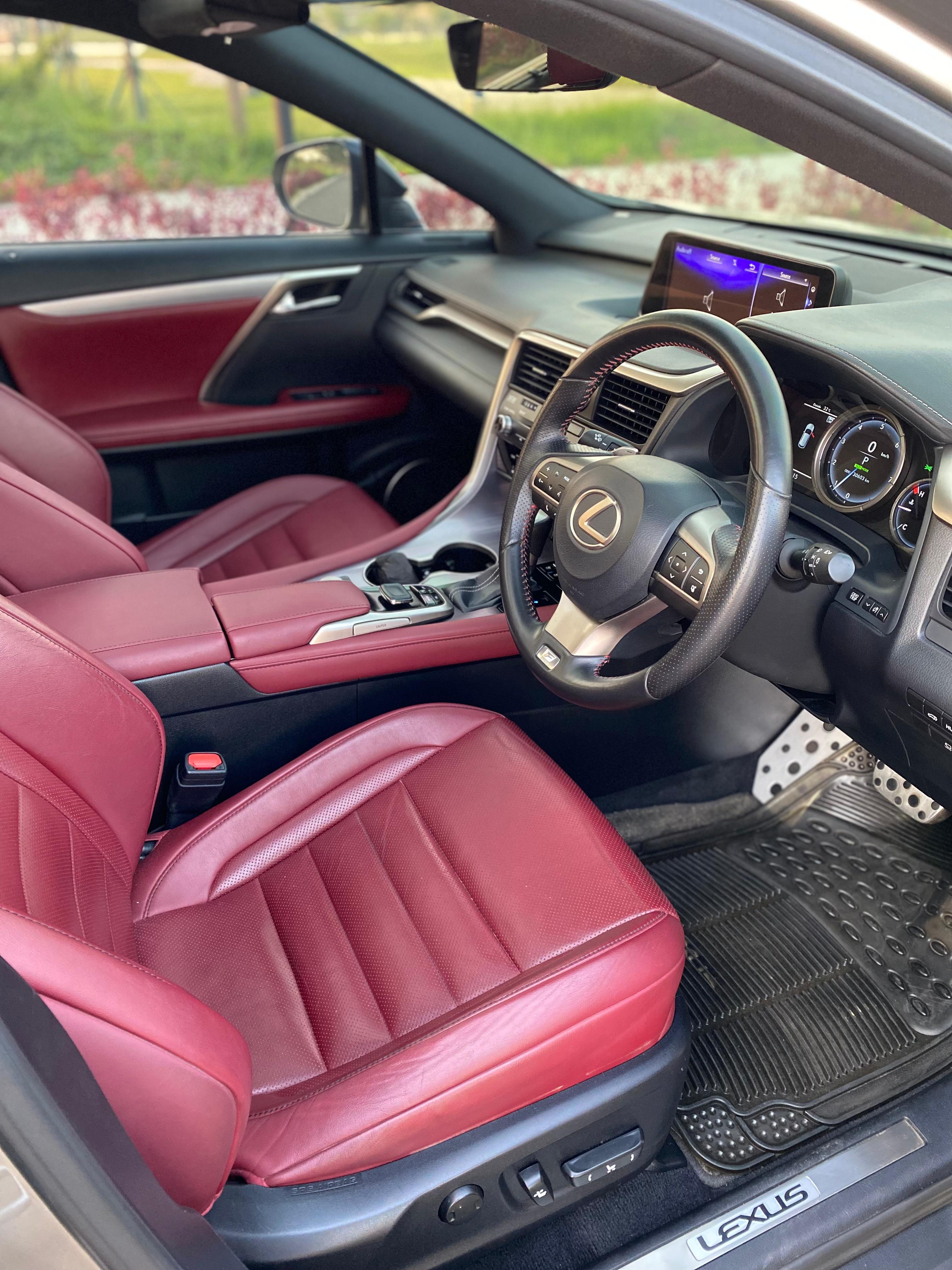 2019 Lexus RX 300 F Sport 2019 Lexus RX 300 F Sport