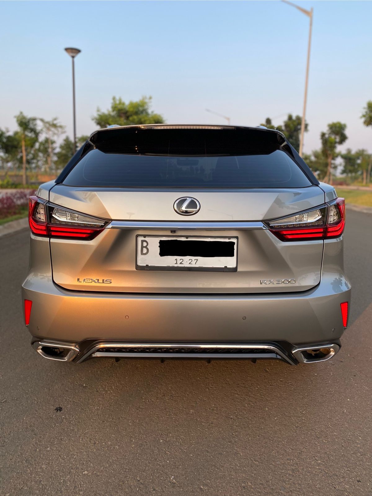 2019 Lexus RX 300 F Sport 2019 Lexus RX 300 F Sport