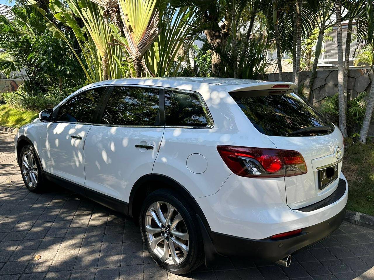 2013 Mazda CX 9 2013 Mazda CX 9