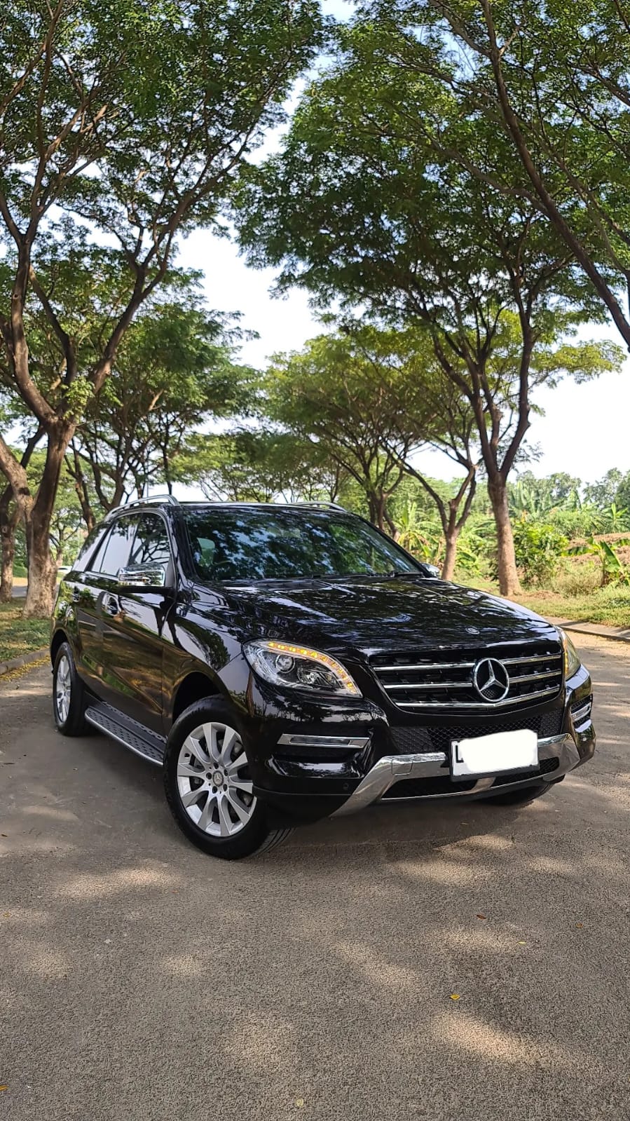 2014 Mercedes Benz ML-Class 250 DIESEL 2014 Mercedes Benz ML-Class 250 DIESEL