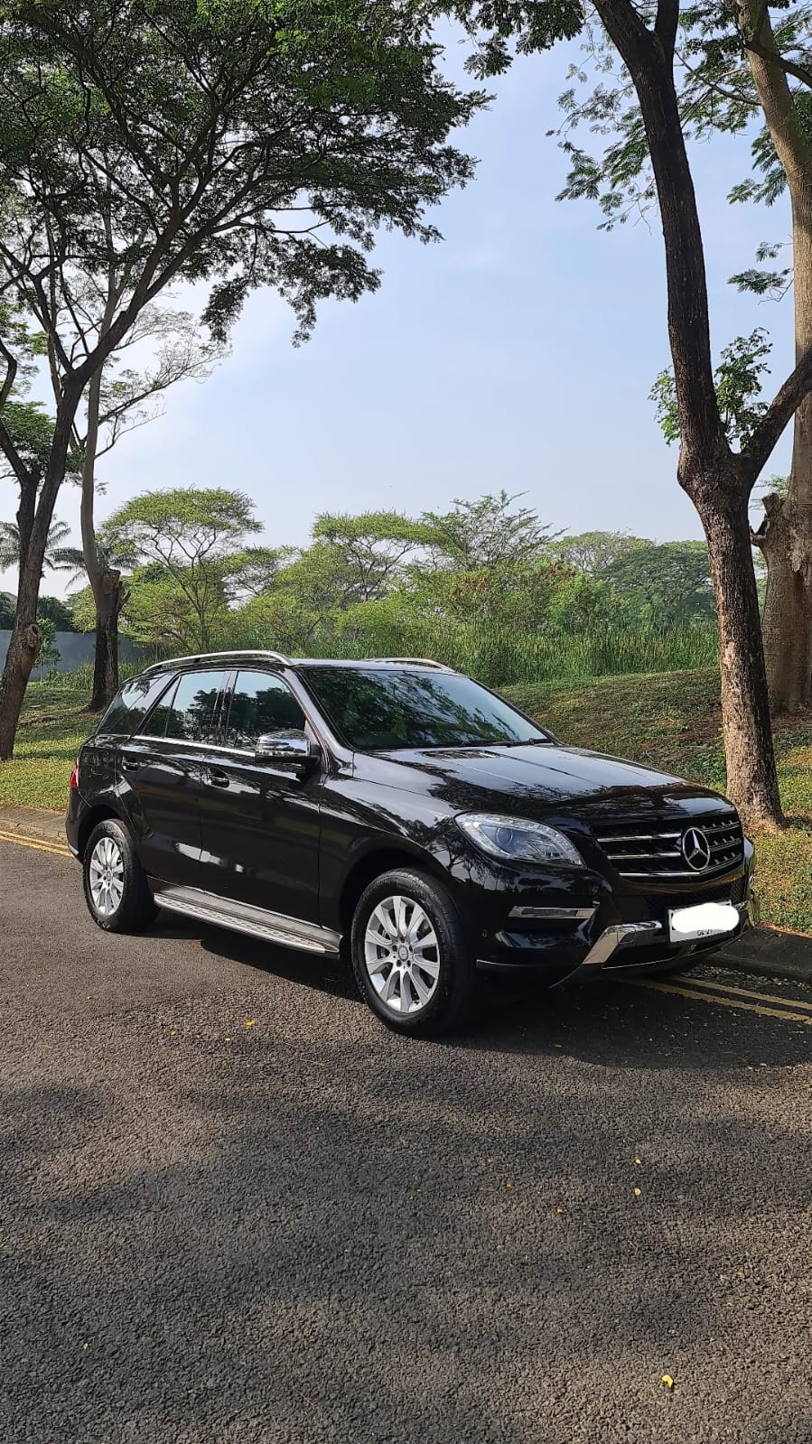 2014 Mercedes Benz ML-Class 250 DIESEL 2014 Mercedes Benz ML-Class 250 DIESEL